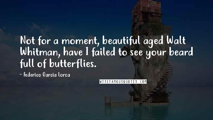 Federico Garcia Lorca Quotes: Not for a moment, beautiful aged Walt Whitman, have I failed to see your beard full of butterflies.