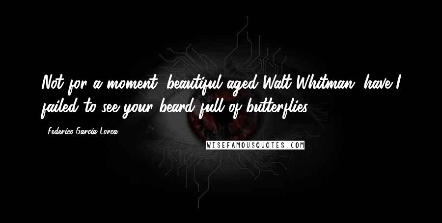 Federico Garcia Lorca Quotes: Not for a moment, beautiful aged Walt Whitman, have I failed to see your beard full of butterflies.