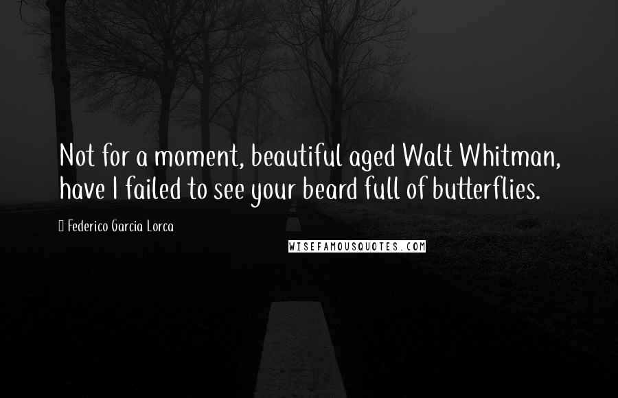 Federico Garcia Lorca Quotes: Not for a moment, beautiful aged Walt Whitman, have I failed to see your beard full of butterflies.