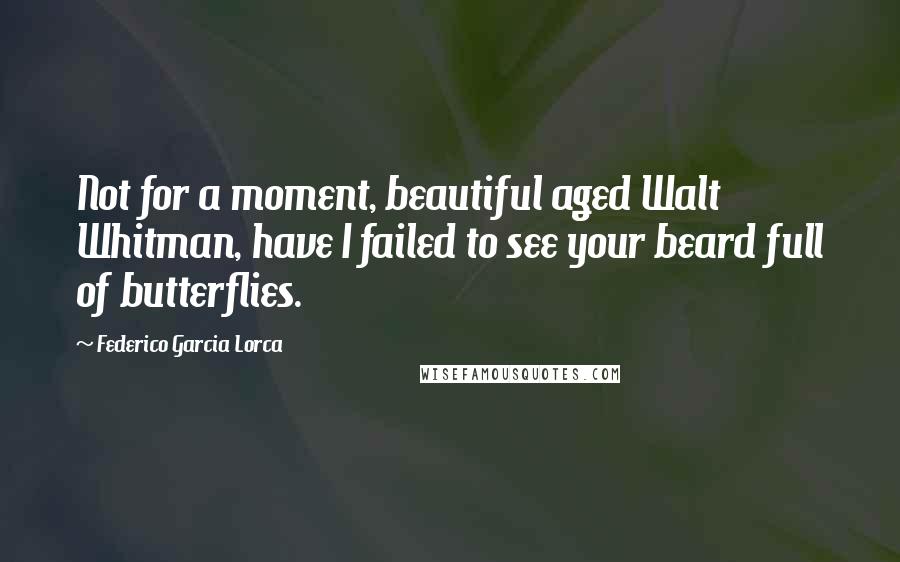 Federico Garcia Lorca Quotes: Not for a moment, beautiful aged Walt Whitman, have I failed to see your beard full of butterflies.