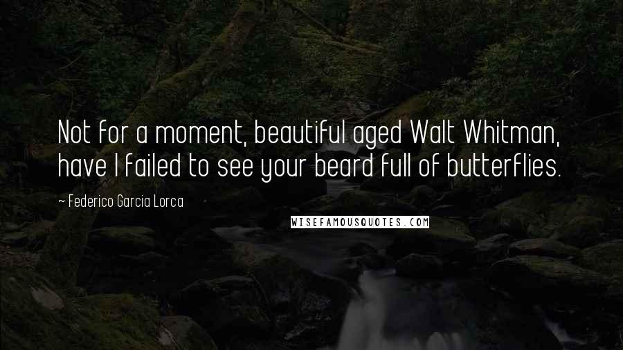 Federico Garcia Lorca Quotes: Not for a moment, beautiful aged Walt Whitman, have I failed to see your beard full of butterflies.