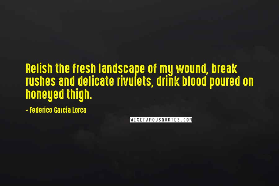 Federico Garcia Lorca Quotes: Relish the fresh landscape of my wound, break rushes and delicate rivulets, drink blood poured on honeyed thigh.