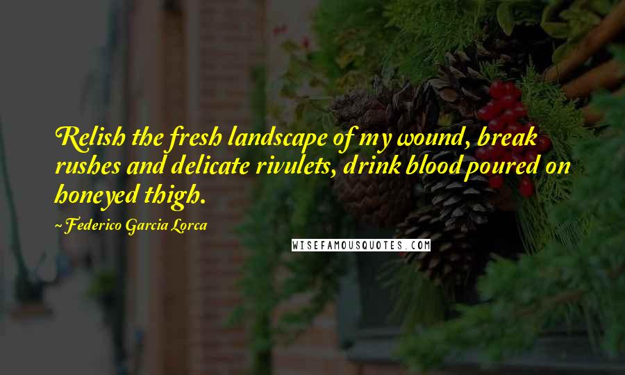 Federico Garcia Lorca Quotes: Relish the fresh landscape of my wound, break rushes and delicate rivulets, drink blood poured on honeyed thigh.