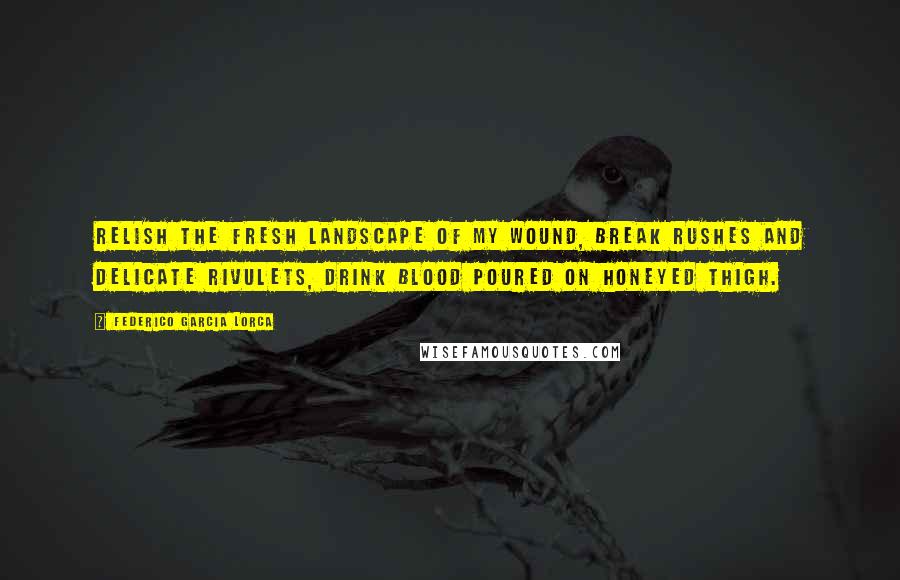 Federico Garcia Lorca Quotes: Relish the fresh landscape of my wound, break rushes and delicate rivulets, drink blood poured on honeyed thigh.