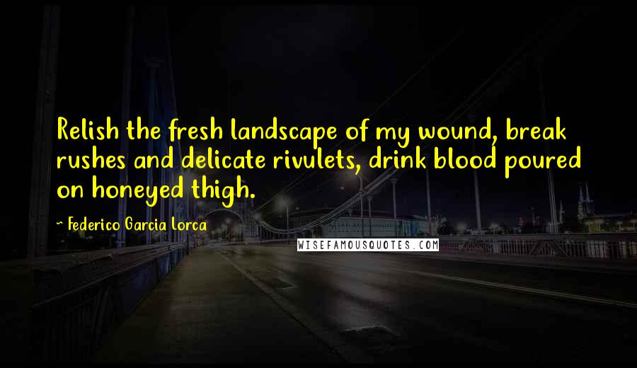 Federico Garcia Lorca Quotes: Relish the fresh landscape of my wound, break rushes and delicate rivulets, drink blood poured on honeyed thigh.