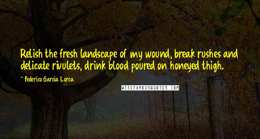 Federico Garcia Lorca Quotes: Relish the fresh landscape of my wound, break rushes and delicate rivulets, drink blood poured on honeyed thigh.