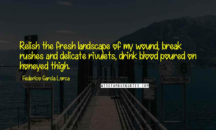 Federico Garcia Lorca Quotes: Relish the fresh landscape of my wound, break rushes and delicate rivulets, drink blood poured on honeyed thigh.