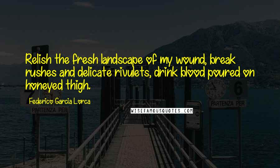 Federico Garcia Lorca Quotes: Relish the fresh landscape of my wound, break rushes and delicate rivulets, drink blood poured on honeyed thigh.