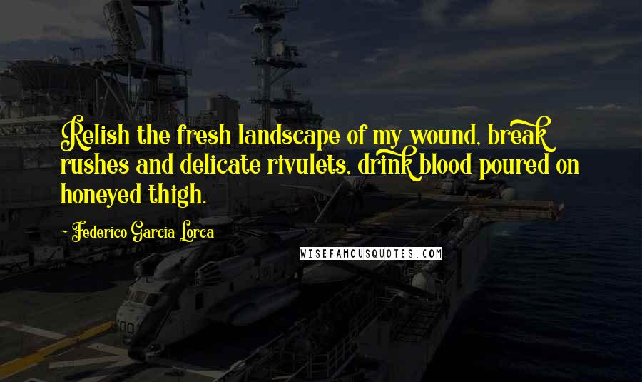 Federico Garcia Lorca Quotes: Relish the fresh landscape of my wound, break rushes and delicate rivulets, drink blood poured on honeyed thigh.