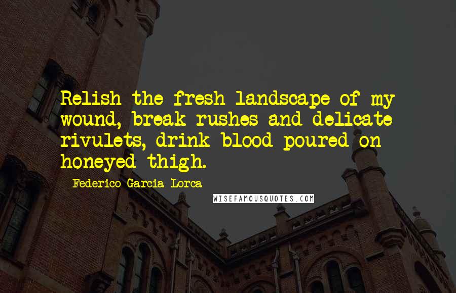 Federico Garcia Lorca Quotes: Relish the fresh landscape of my wound, break rushes and delicate rivulets, drink blood poured on honeyed thigh.