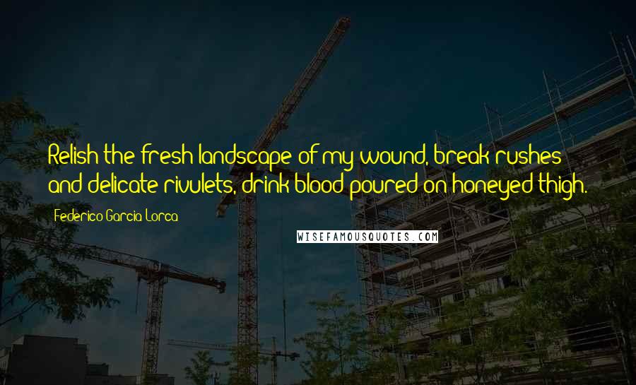 Federico Garcia Lorca Quotes: Relish the fresh landscape of my wound, break rushes and delicate rivulets, drink blood poured on honeyed thigh.