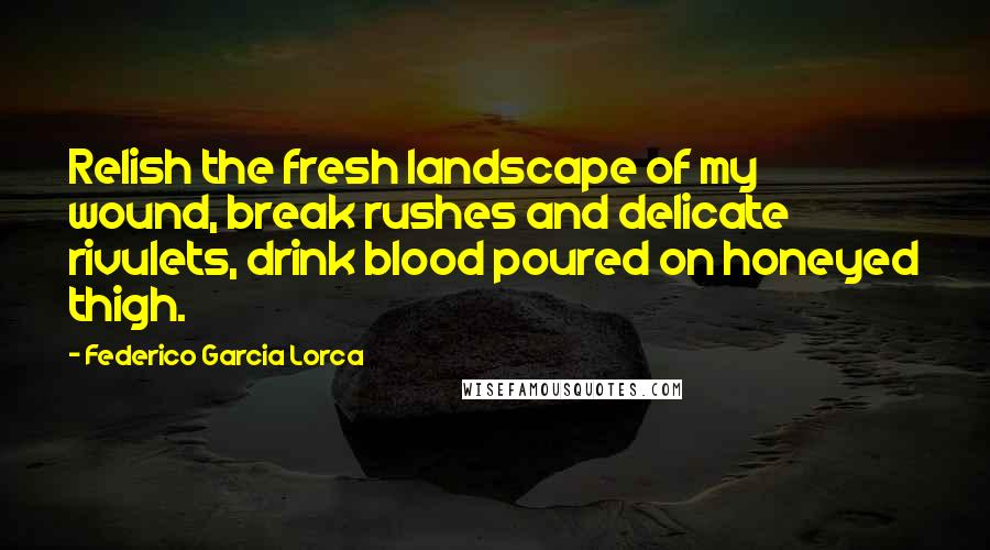 Federico Garcia Lorca Quotes: Relish the fresh landscape of my wound, break rushes and delicate rivulets, drink blood poured on honeyed thigh.