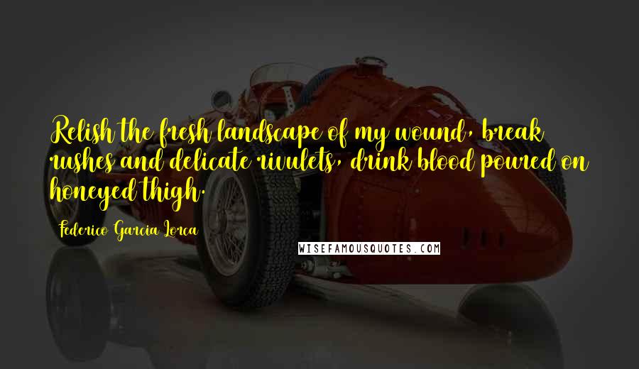 Federico Garcia Lorca Quotes: Relish the fresh landscape of my wound, break rushes and delicate rivulets, drink blood poured on honeyed thigh.