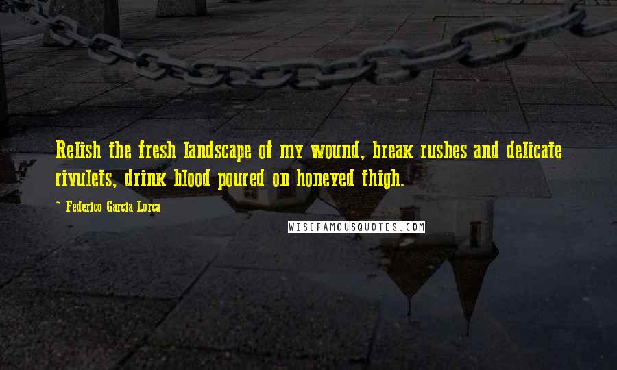 Federico Garcia Lorca Quotes: Relish the fresh landscape of my wound, break rushes and delicate rivulets, drink blood poured on honeyed thigh.