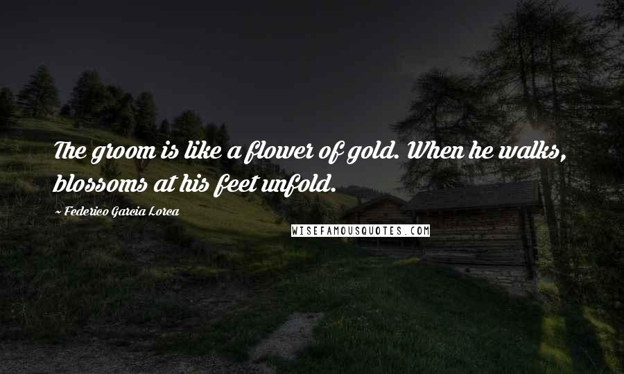 Federico Garcia Lorca Quotes: The groom is like a flower of gold. When he walks, blossoms at his feet unfold.