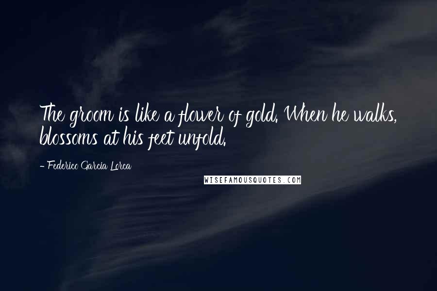 Federico Garcia Lorca Quotes: The groom is like a flower of gold. When he walks, blossoms at his feet unfold.