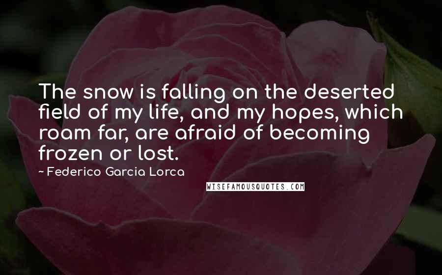 Federico Garcia Lorca Quotes: The snow is falling on the deserted field of my life, and my hopes, which roam far, are afraid of becoming frozen or lost.