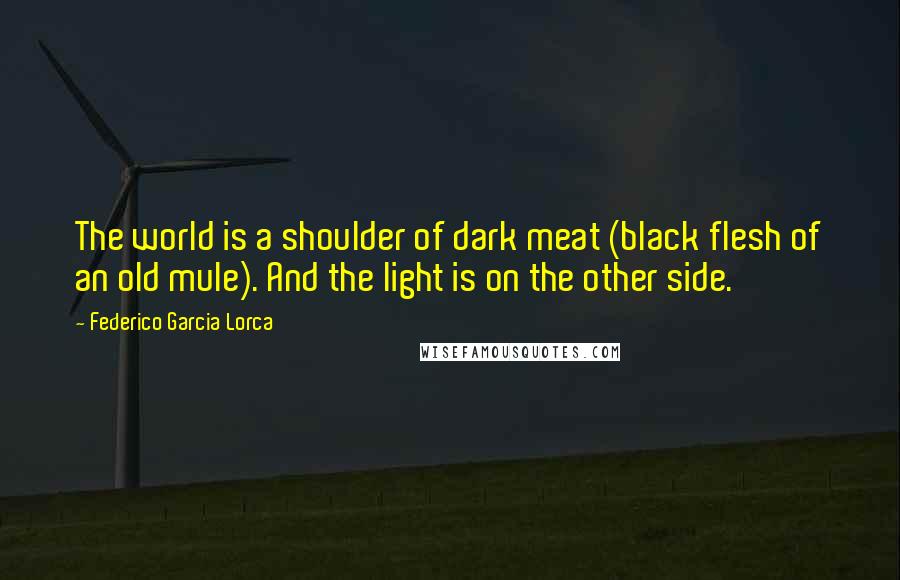 Federico Garcia Lorca Quotes: The world is a shoulder of dark meat (black flesh of an old mule). And the light is on the other side.