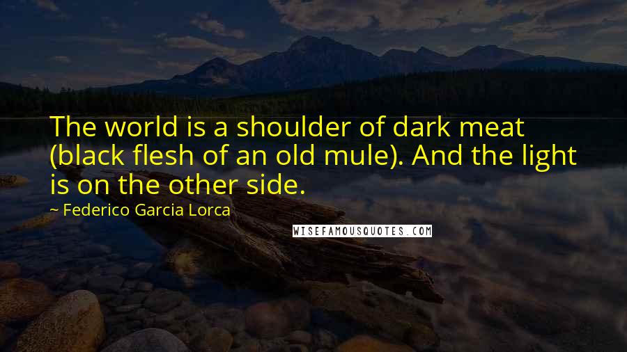 Federico Garcia Lorca Quotes: The world is a shoulder of dark meat (black flesh of an old mule). And the light is on the other side.