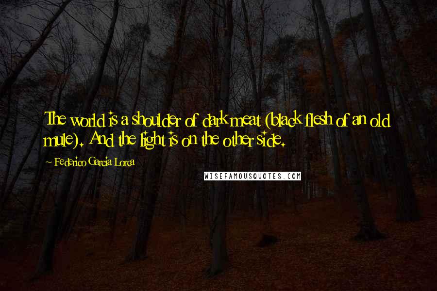 Federico Garcia Lorca Quotes: The world is a shoulder of dark meat (black flesh of an old mule). And the light is on the other side.