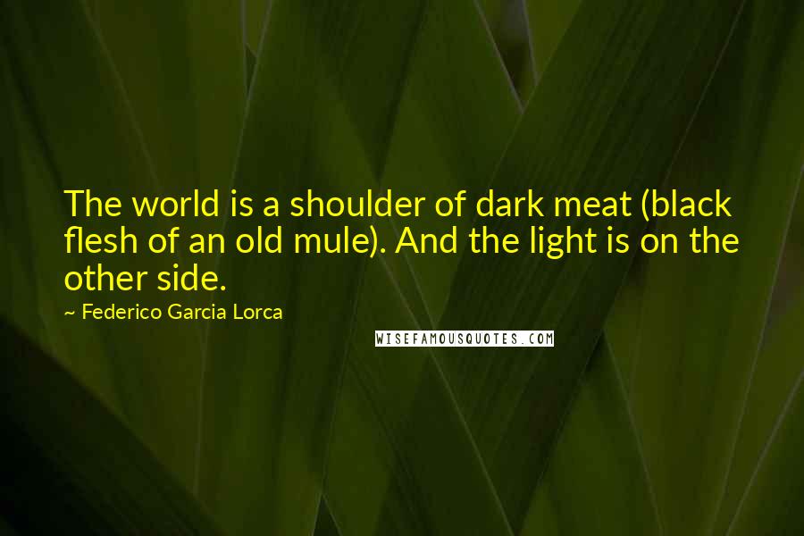 Federico Garcia Lorca Quotes: The world is a shoulder of dark meat (black flesh of an old mule). And the light is on the other side.