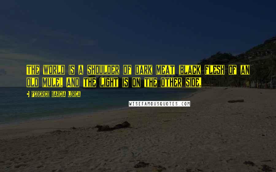 Federico Garcia Lorca Quotes: The world is a shoulder of dark meat (black flesh of an old mule). And the light is on the other side.