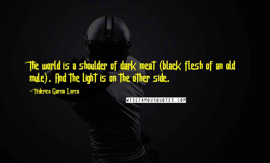 Federico Garcia Lorca Quotes: The world is a shoulder of dark meat (black flesh of an old mule). And the light is on the other side.