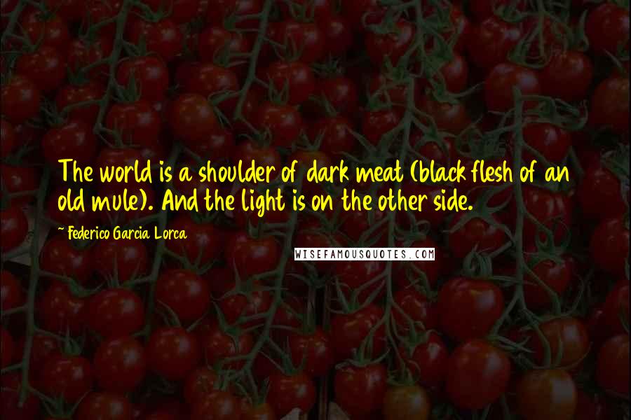 Federico Garcia Lorca Quotes: The world is a shoulder of dark meat (black flesh of an old mule). And the light is on the other side.