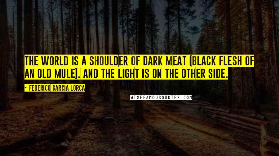 Federico Garcia Lorca Quotes: The world is a shoulder of dark meat (black flesh of an old mule). And the light is on the other side.