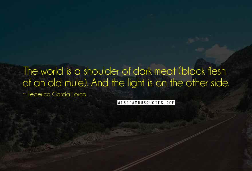 Federico Garcia Lorca Quotes: The world is a shoulder of dark meat (black flesh of an old mule). And the light is on the other side.