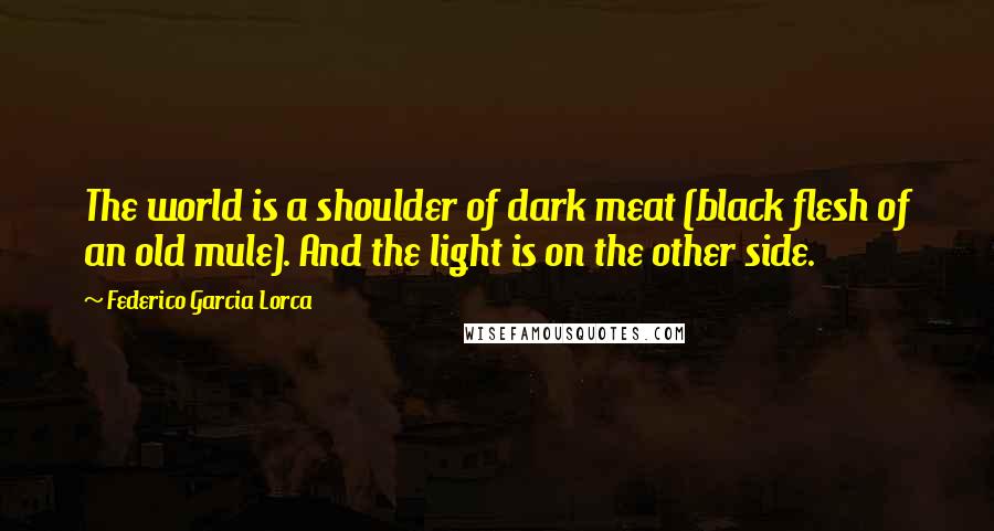 Federico Garcia Lorca Quotes: The world is a shoulder of dark meat (black flesh of an old mule). And the light is on the other side.
