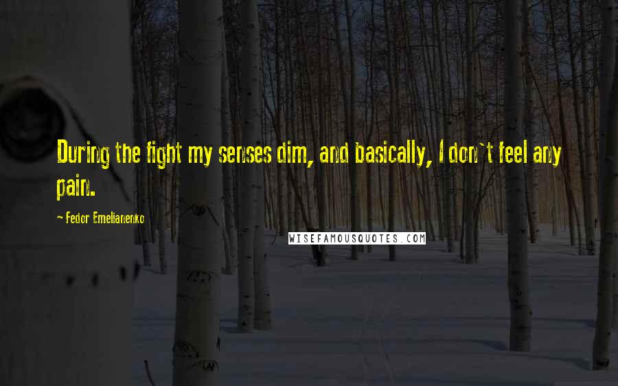 Fedor Emelianenko Quotes: During the fight my senses dim, and basically, I don't feel any pain.