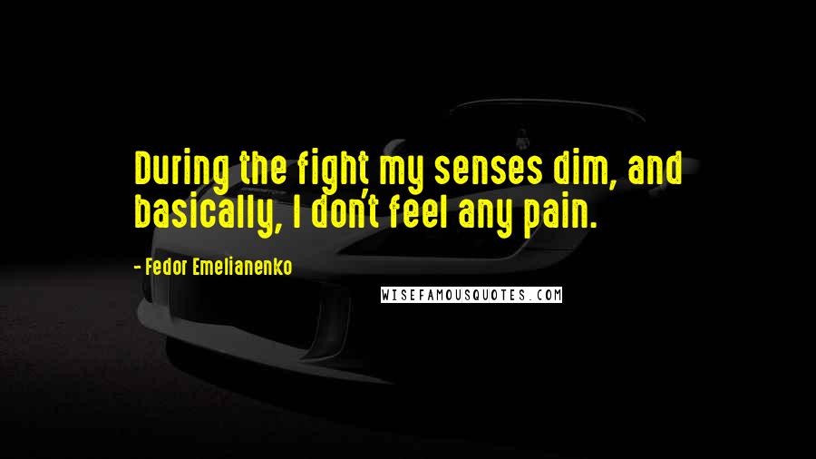 Fedor Emelianenko Quotes: During the fight my senses dim, and basically, I don't feel any pain.