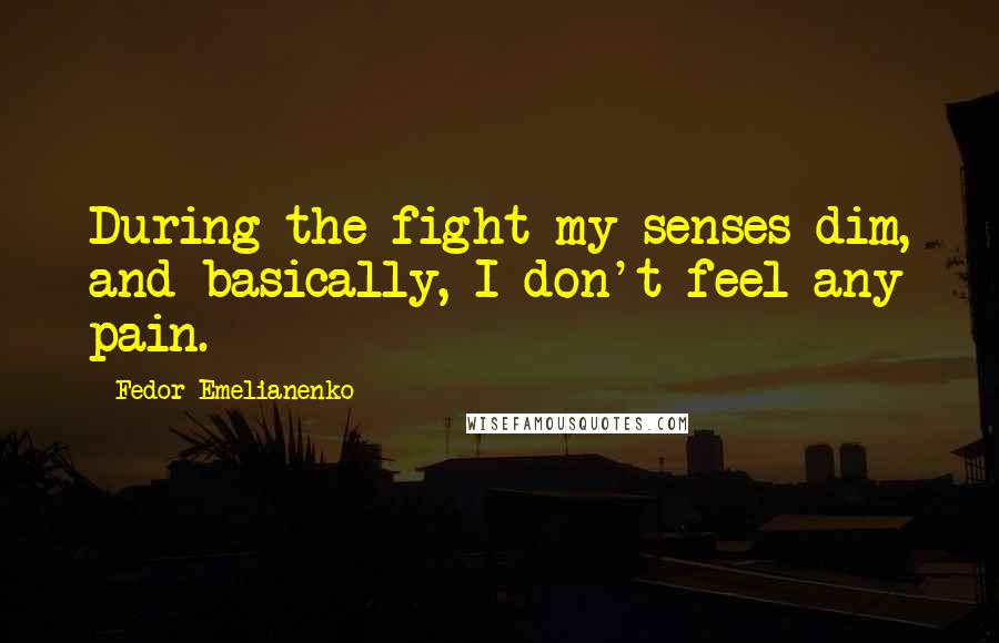 Fedor Emelianenko Quotes: During the fight my senses dim, and basically, I don't feel any pain.