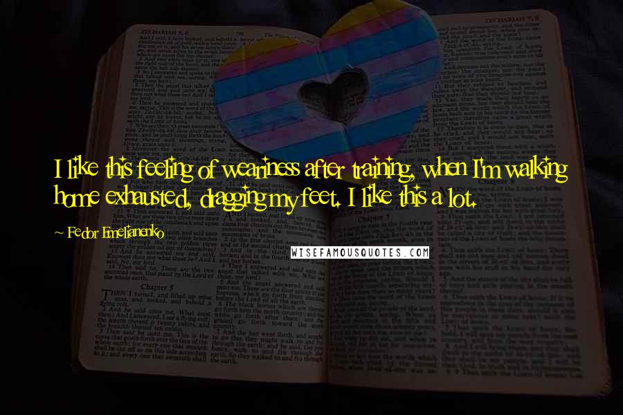 Fedor Emelianenko Quotes: I like this feeling of weariness after training, when I'm walking home exhausted, dragging my feet. I like this a lot.