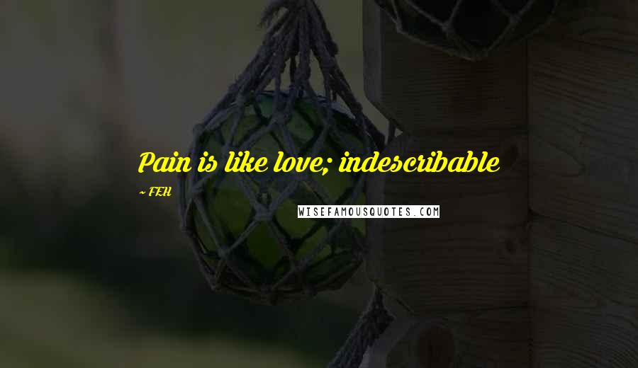 FEH Quotes: Pain is like love; indescribable