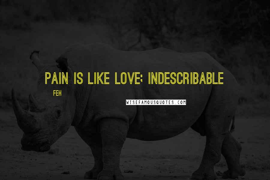 FEH Quotes: Pain is like love; indescribable