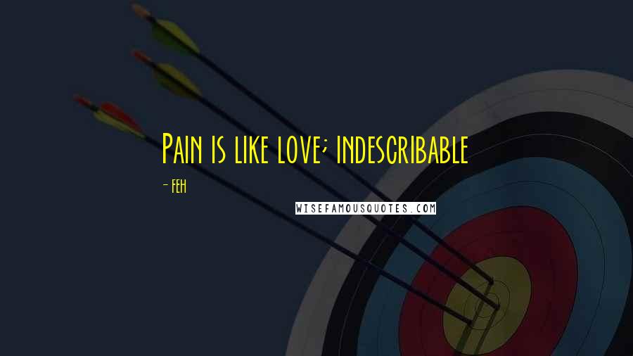 FEH Quotes: Pain is like love; indescribable
