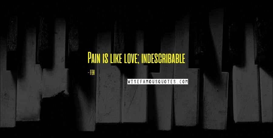 FEH Quotes: Pain is like love; indescribable