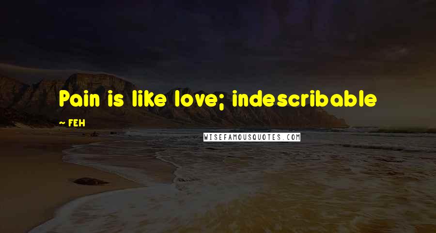 FEH Quotes: Pain is like love; indescribable