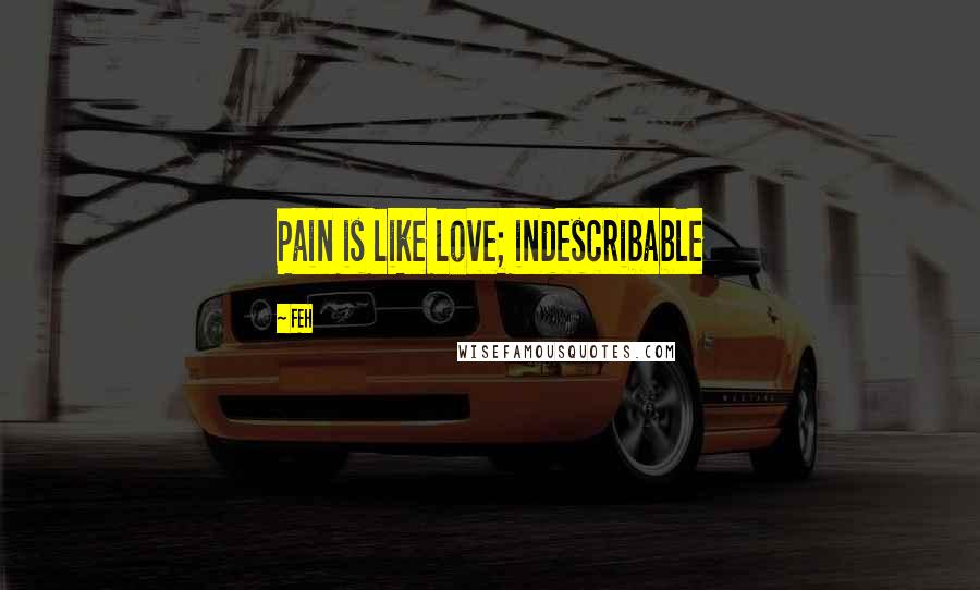 FEH Quotes: Pain is like love; indescribable