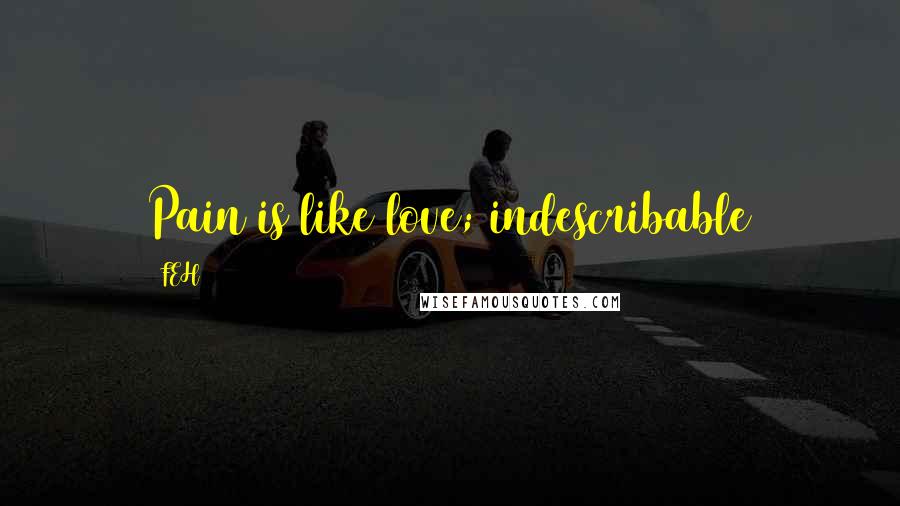 FEH Quotes: Pain is like love; indescribable