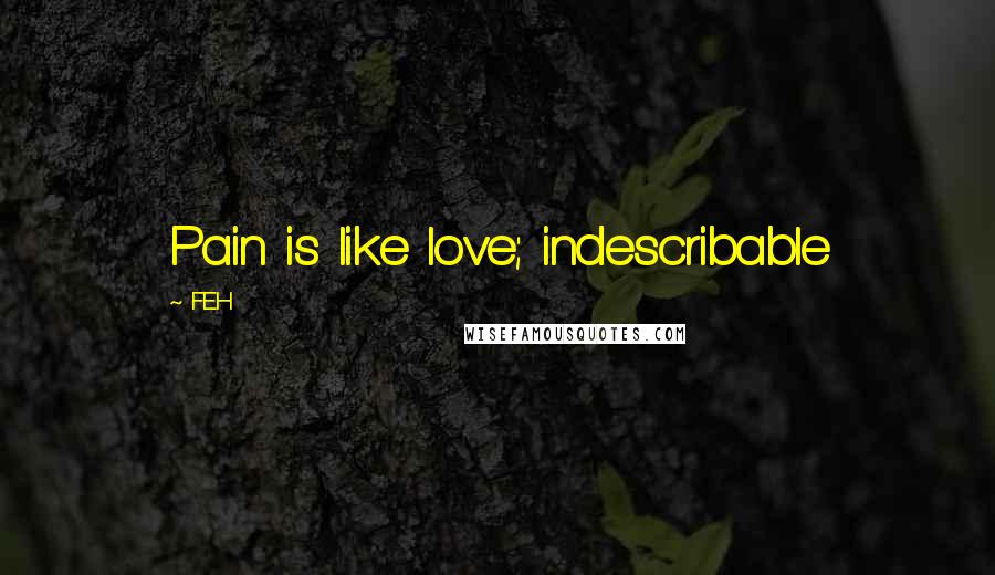 FEH Quotes: Pain is like love; indescribable