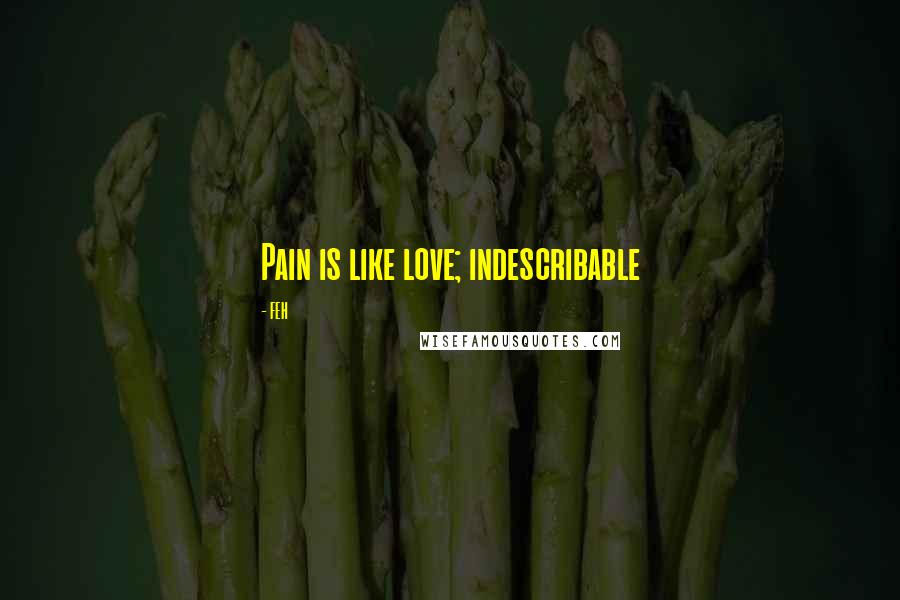 FEH Quotes: Pain is like love; indescribable