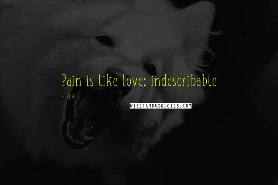 FEH Quotes: Pain is like love; indescribable