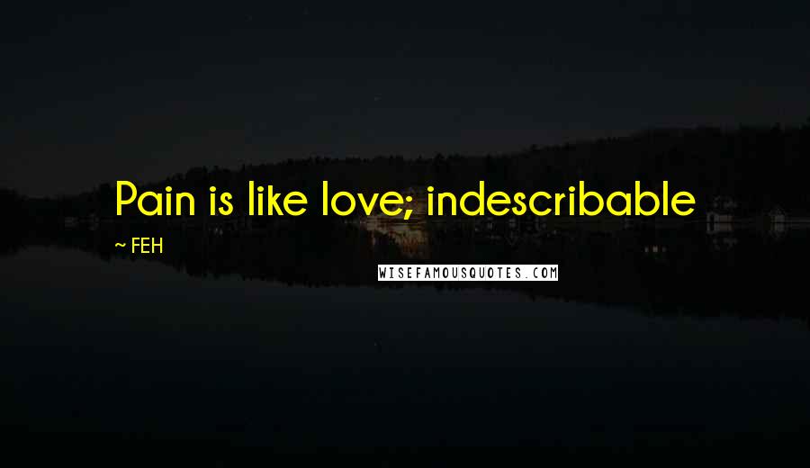 FEH Quotes: Pain is like love; indescribable