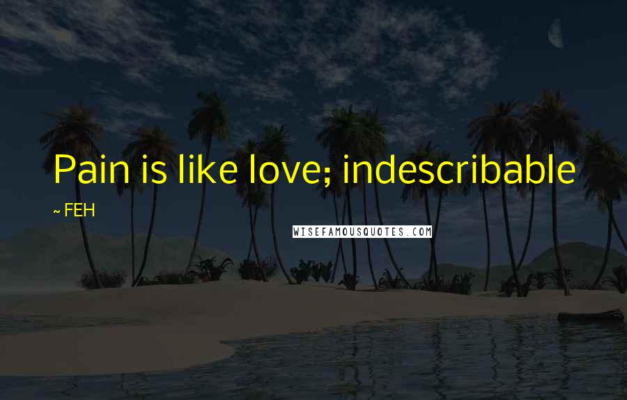 FEH Quotes: Pain is like love; indescribable