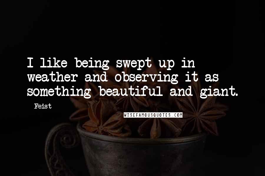 Feist Quotes: I like being swept up in weather and observing it as something beautiful and giant.