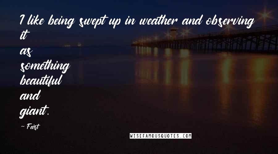 Feist Quotes: I like being swept up in weather and observing it as something beautiful and giant.