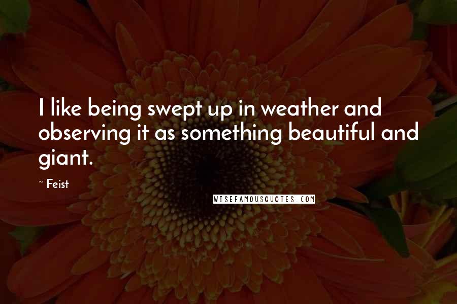 Feist Quotes: I like being swept up in weather and observing it as something beautiful and giant.